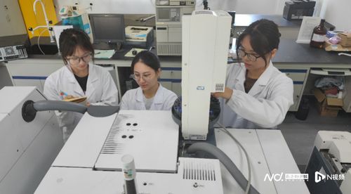順職學子勇攀科研高峰，工業廢氣協同凈化技術引領綠色化工新變革